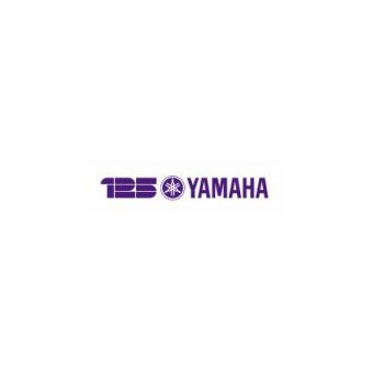 Гарантийный ремонт Yamaha