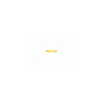 Гарантийный ремонт Epos