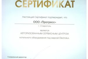 Сертификат 2