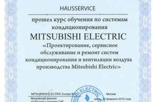 митсу