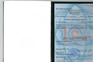 Диплом мастера2