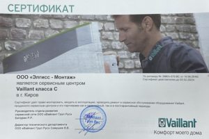 Vaillant