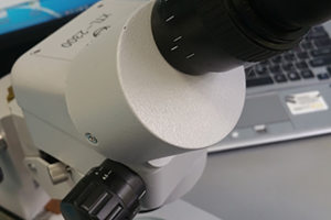 Все работы выполняют точно и качественно