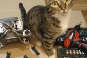 Выезд на дом