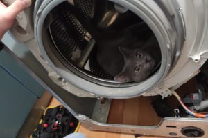 Ремонт стиральных машин