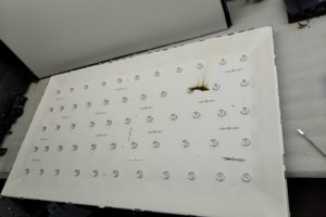 Замена подсветки