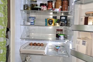 Ремонт холодильников Цветы Башкирии 89378362724