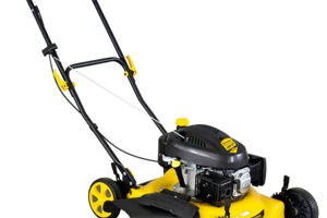 Ремонт газонокосилок